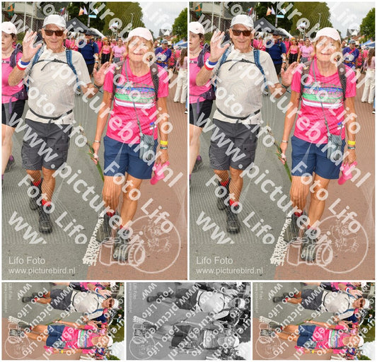 Evenement foto: Nijmeegse Vierdaagse 1023