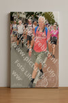 Evenement foto: Nijmeegse Vierdaagse 1023