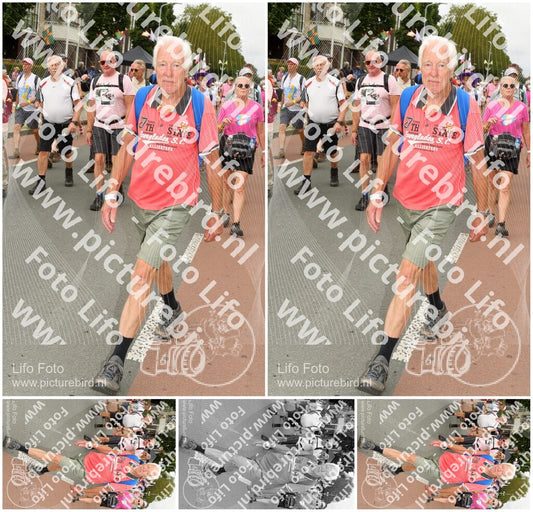 Evenement foto: Nijmeegse Vierdaagse 1023