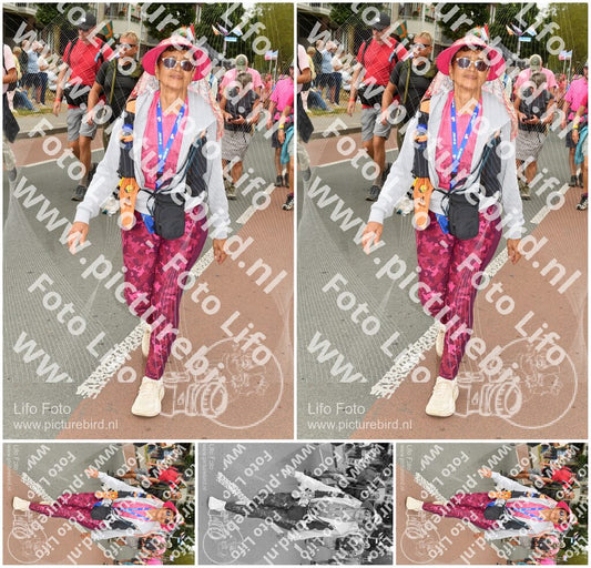 Evenement foto: Nijmeegse Vierdaagse 1023