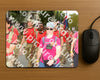 Evenement foto: Nijmeegse Vierdaagse 1023