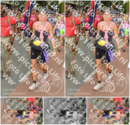 Evenement foto: Nijmeegse Vierdaagse 1023