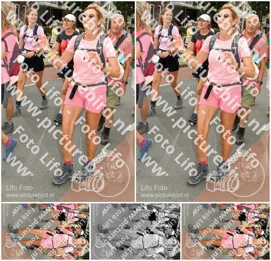 Evenement foto: Nijmeegse Vierdaagse 1023