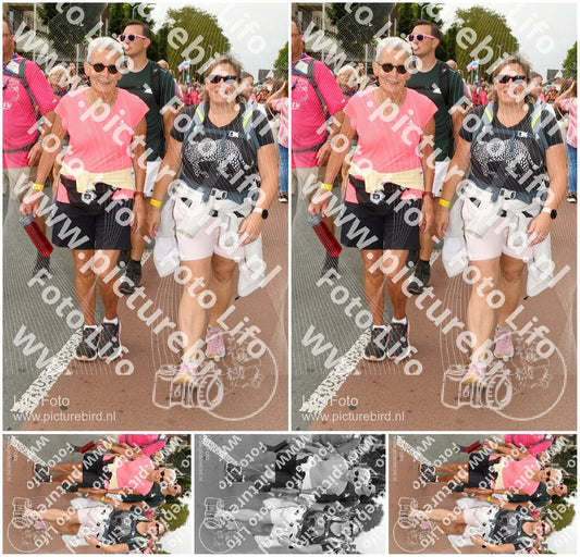 Evenement foto: Nijmeegse Vierdaagse 1023