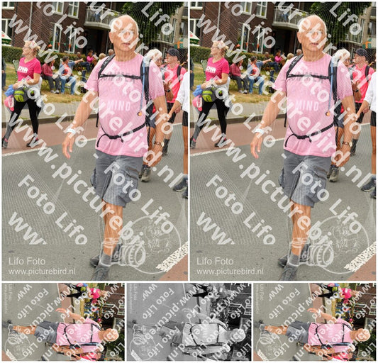 Evenement foto: Nijmeegse Vierdaagse 1023