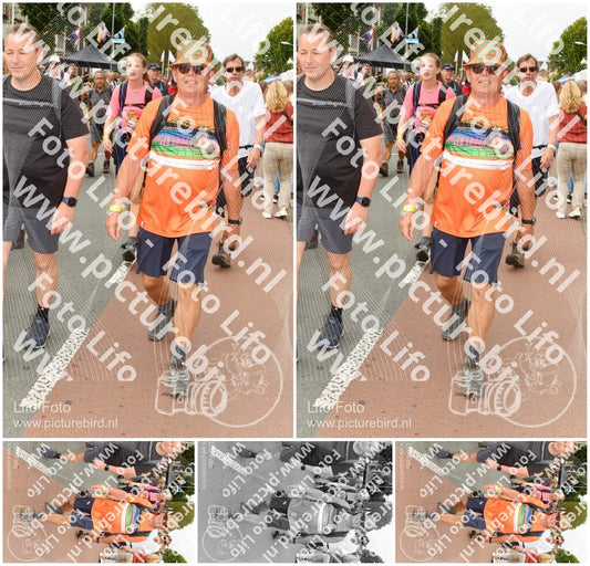 Evenement foto: Nijmeegse Vierdaagse 1023