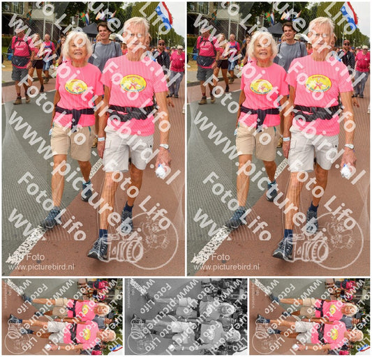 Evenement foto: Nijmeegse Vierdaagse 1023