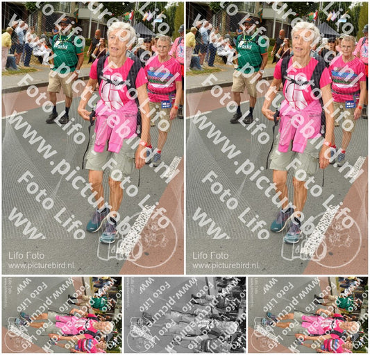 Evenement foto: Nijmeegse Vierdaagse 1023