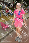 Evenement foto: Nijmeegse Vierdaagse 1023