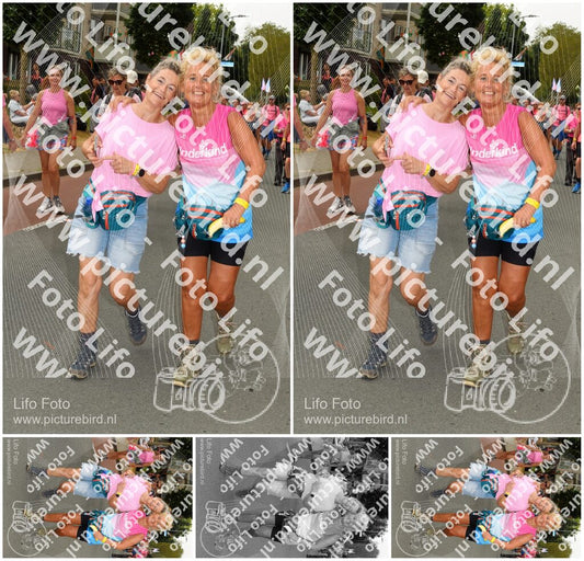 Evenement foto: Nijmeegse Vierdaagse 1023