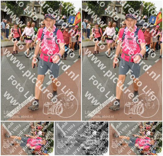 Evenement foto: Nijmeegse Vierdaagse 1022