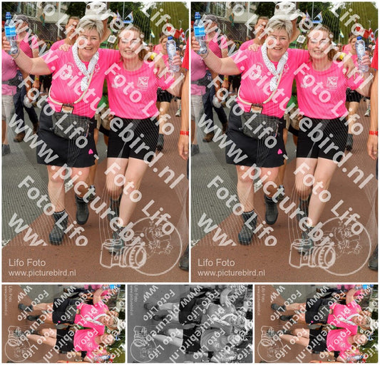 Evenement foto: Nijmeegse Vierdaagse 1022