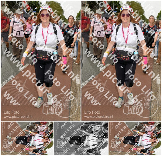 Evenement foto: Nijmeegse Vierdaagse 1022