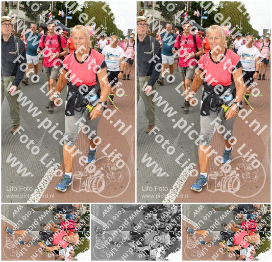 Evenement foto: Nijmeegse Vierdaagse 1022