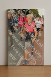 Evenement foto: Nijmeegse Vierdaagse 1022