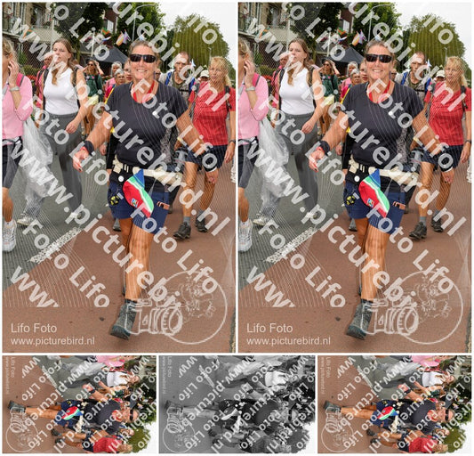 Evenement foto: Nijmeegse Vierdaagse 1022