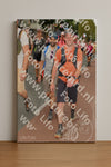 Evenement foto: Nijmeegse Vierdaagse 1022