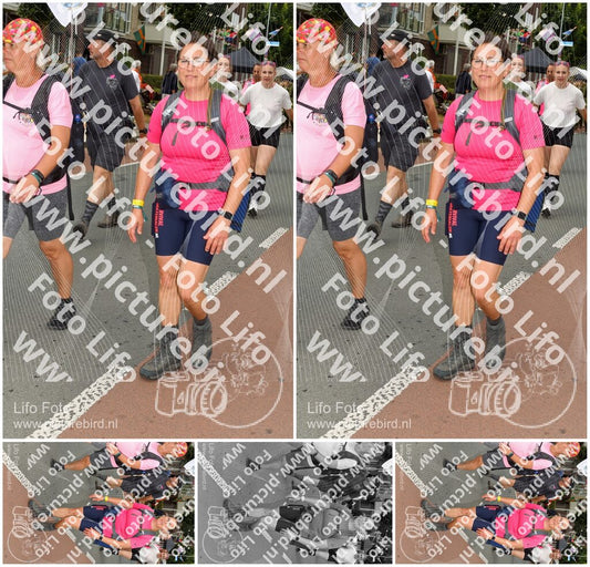 Evenement foto: Nijmeegse Vierdaagse 1022