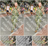 Evenement foto: Nijmeegse Vierdaagse 1022