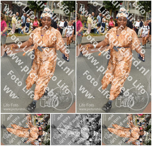 Evenement foto: Nijmeegse Vierdaagse 1022