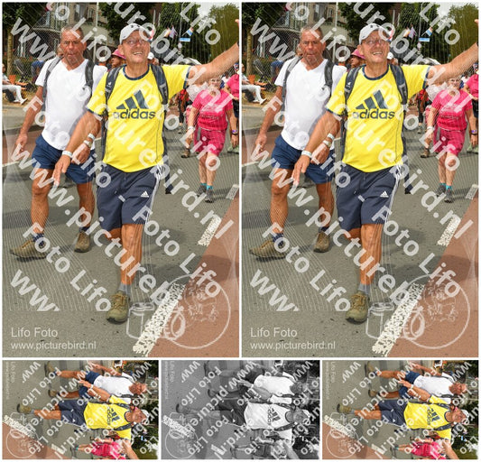 Evenement foto: Nijmeegse Vierdaagse 1022