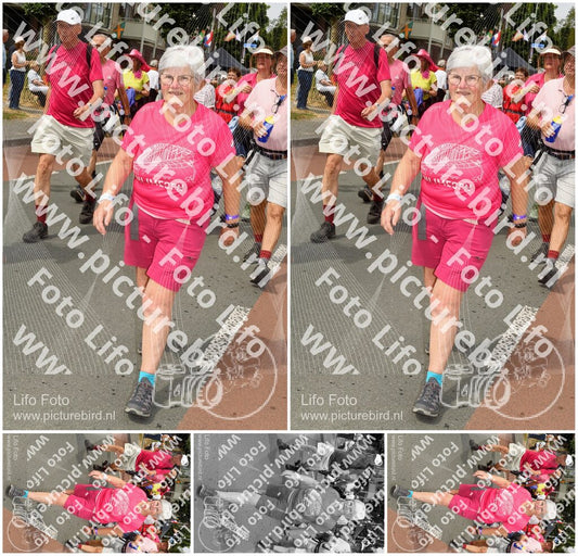 Evenement foto: Nijmeegse Vierdaagse 1022