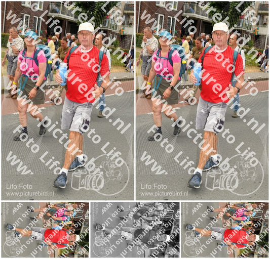 Evenement foto: Nijmeegse Vierdaagse 1022