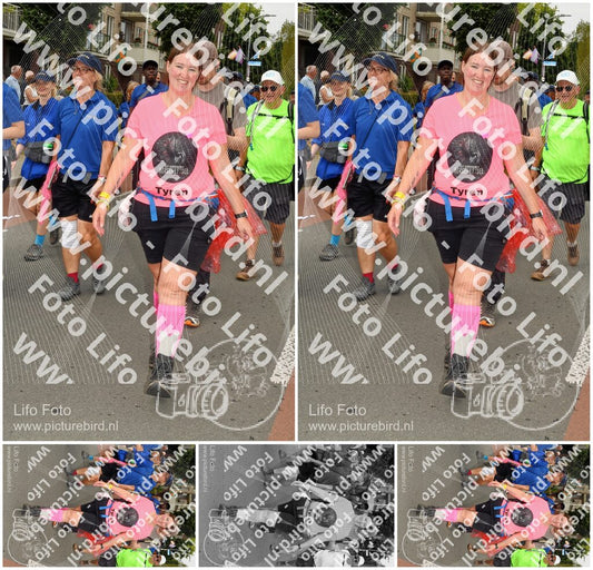 Evenement foto: Nijmeegse Vierdaagse 1022