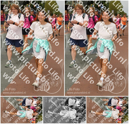 Evenement foto: Nijmeegse Vierdaagse 1022