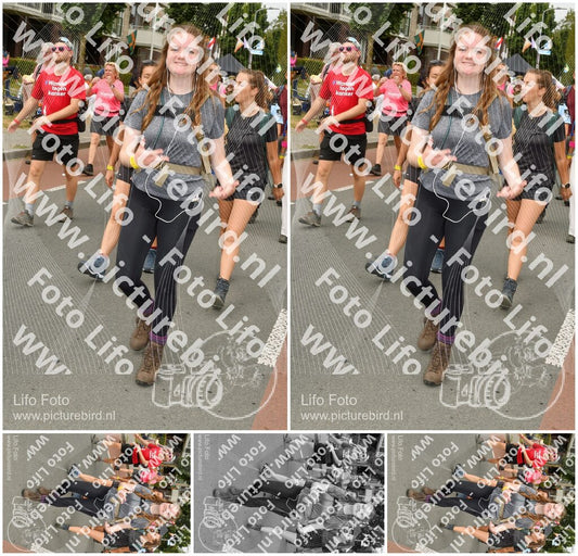 Evenement foto: Nijmeegse Vierdaagse 1022