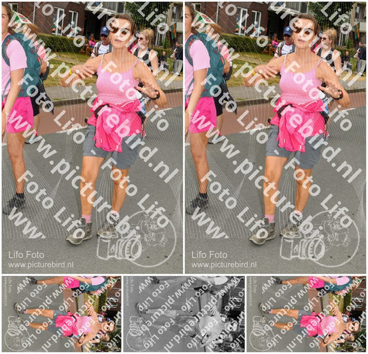 Evenement foto: Nijmeegse Vierdaagse 1022