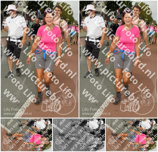 Evenement foto: Nijmeegse Vierdaagse 1022
