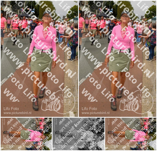 Evenement foto: Nijmeegse Vierdaagse 1022