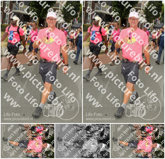Evenement foto: Nijmeegse Vierdaagse 1022