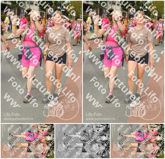 Evenement foto: Nijmeegse Vierdaagse 1022