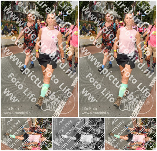 Evenement foto: Nijmeegse Vierdaagse 1021