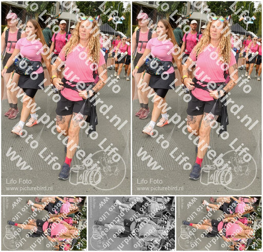Evenement foto: Nijmeegse Vierdaagse 1021