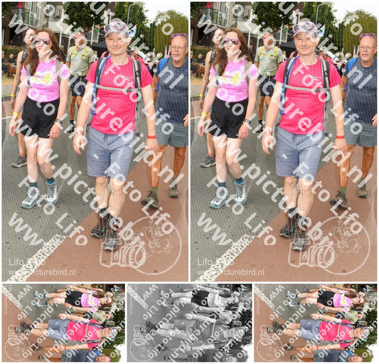 Evenement foto: Nijmeegse Vierdaagse 1021