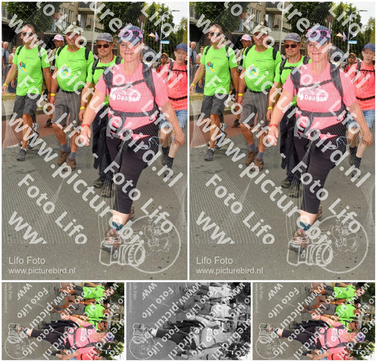 Evenement foto: Nijmeegse Vierdaagse 1021
