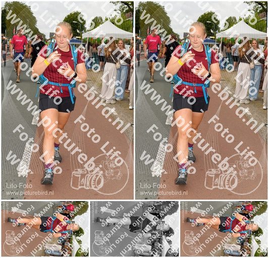 Evenement foto: Nijmeegse Vierdaagse 1020