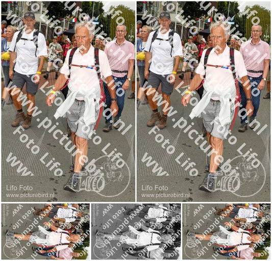 Evenement foto: Nijmeegse Vierdaagse 1020