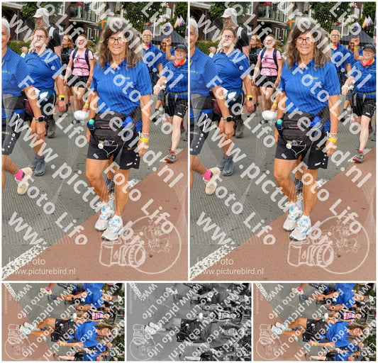 Evenement foto: Nijmeegse Vierdaagse 1020