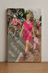 Evenement foto: Nijmeegse Vierdaagse 1020