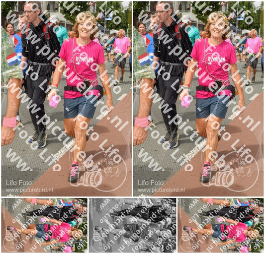 Evenement foto: Nijmeegse Vierdaagse 1020