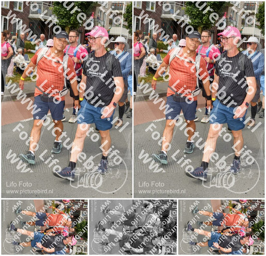 Evenement foto: Nijmeegse Vierdaagse 1020