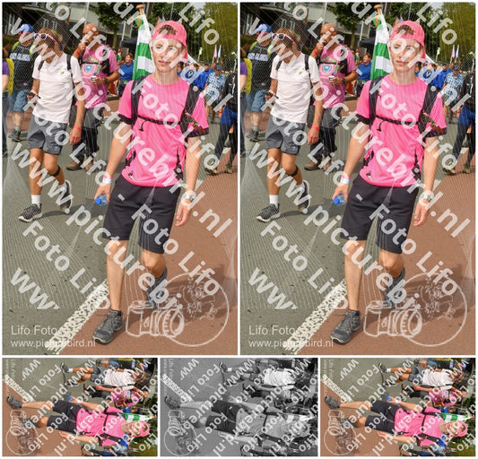 Evenement foto: Nijmeegse Vierdaagse 1020