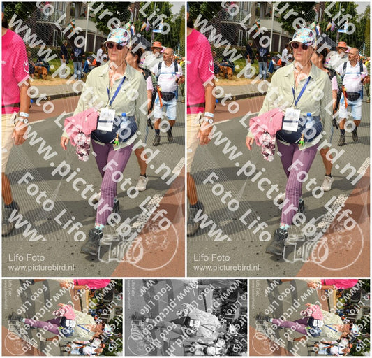 Evenement foto: Nijmeegse Vierdaagse 1020