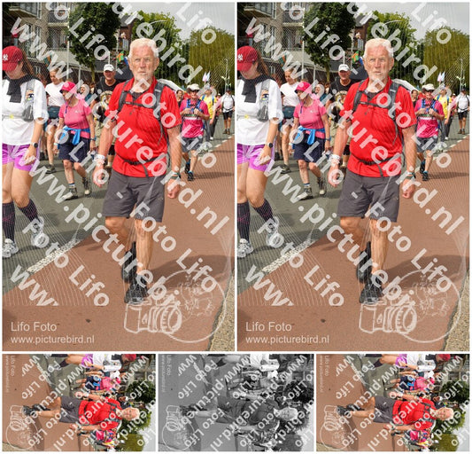 Evenement foto: Nijmeegse Vierdaagse 1020