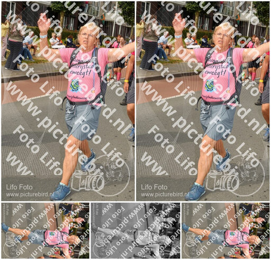 Evenement foto: Nijmeegse Vierdaagse 1020