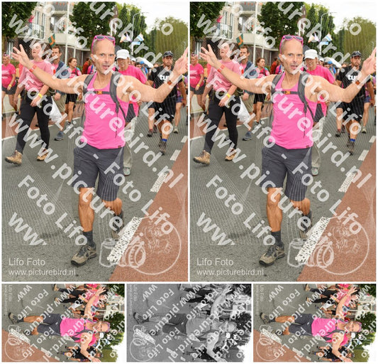 Evenement foto: Nijmeegse Vierdaagse 1019